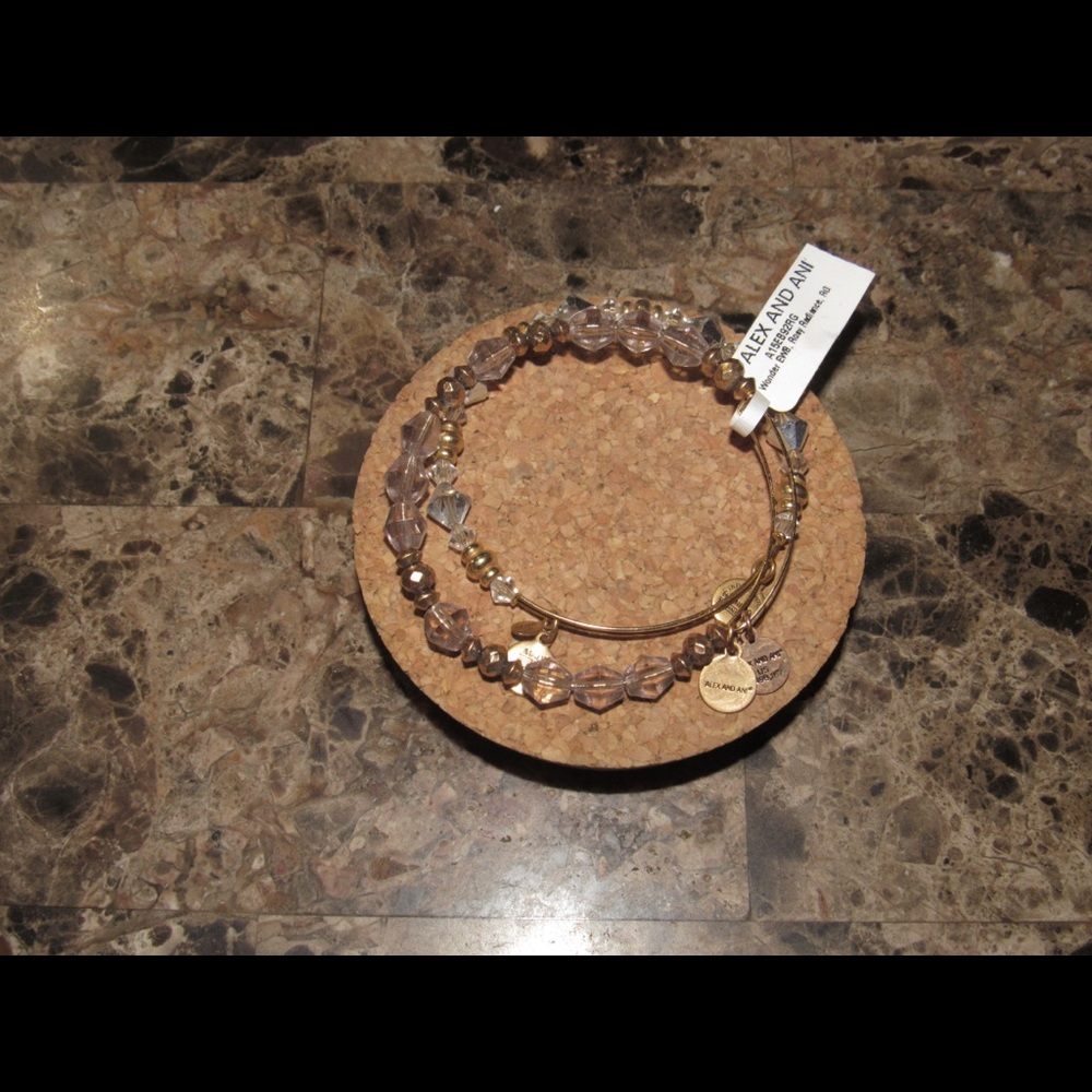 NWOB Alex and Ani bracelet